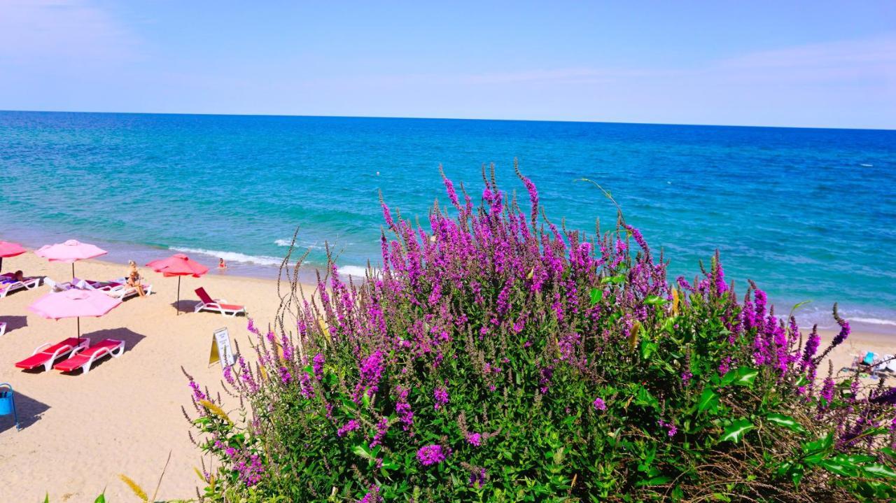 Byala Vista Beach Apartments D - Бяла Виста Бийч Апартментс Д Exteriér fotografie